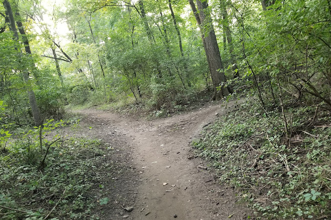 Local Iowa hiking trail at Sylvan Island